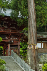 日本　長野県松本市にある牛伏寺の仁王門