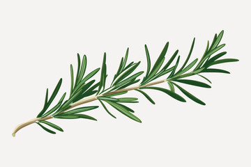 Obraz premium rawpixeloffice21_top_view_minimal_flat_vector_aesthetic_illustr_b9b9dbad-b8ce-4269-a26b-d979a95c8035-p