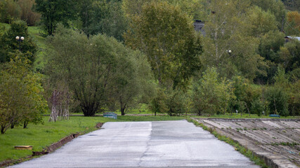 A road with trees on either side and a bench in the middle