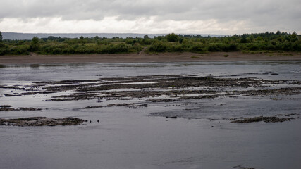 A large body of water is covered in debris and has a murky appearance