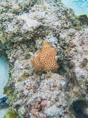 Rarotonga (August 2024).