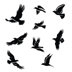 Obraz premium A variety of silhouetted birds flying in different poses on a white background.