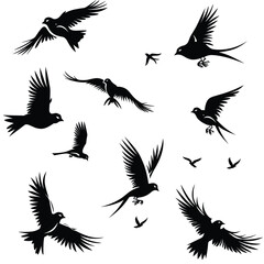 Fototapeta premium Illustration of various black silhouette birds in flight against a white background.