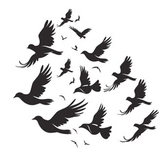 Obraz premium Silhouettes of various birds flying in different directions against a plain white background.