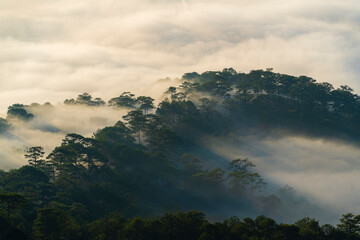 the serene beauty of Da Lat city with its lush greenery, vibrant flowers, and charming architecture, all under a clear blue sky, creating a picturesque and tranquil scene.