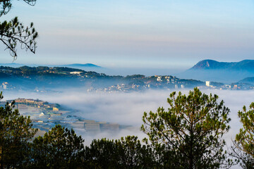  a serene view of Dalat city with a sea of clouds, flanked by silhouetted pine trees, during sunrise or sunset.