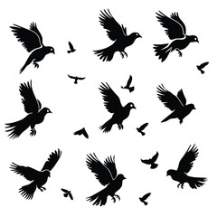 Obraz premium Silhouettes of various birds in flight against a white background, showcasing different flying poses.