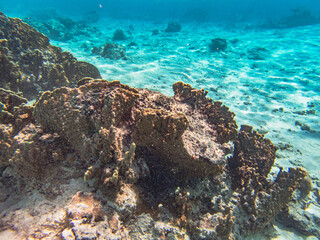 Rarotonga (August 2024).