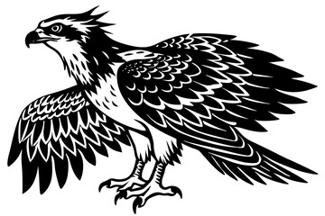 osprey bird vector silhouette, hawk osprey bird vector, osprey silhouette
