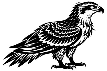 Fototapeta premium osprey bird vector silhouette, hawk osprey bird vector, osprey silhouette 