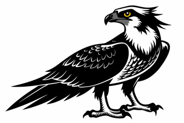 osprey bird vector silhouette, hawk osprey bird vector, osprey silhouette
