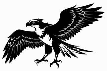 Obraz premium osprey bird, osprey silhouette vector, hawk osprey bird vector illustration