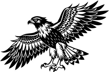 osprey bird, osprey silhouette vector, hawk osprey bird vector illustration