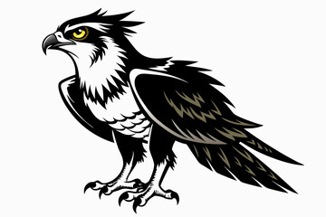 osprey bird, osprey silhouette vector, hawk osprey bird vector illustration