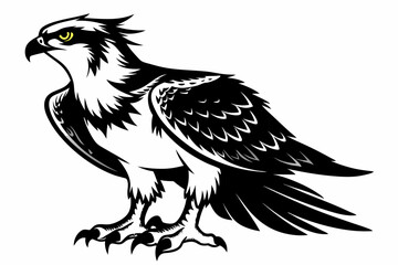 osprey bird, osprey silhouette vector, hawk osprey bird vector illustration