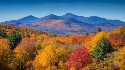 Obraz premium Autumn Foliage in the Mountains