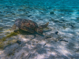 Rarotonga (August 2024).