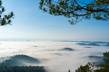 Sunrise over misty mountains in Dalat, with pine branches silhouetted against a golden sky. Ethereal clouds float above, creating a serene and tranquil nature scene.