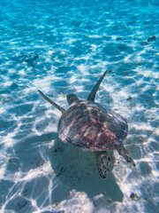 Rarotonga (August 2024).