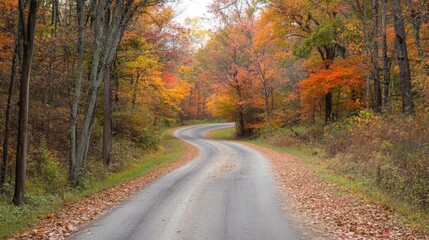 Obraz premium Winding Road Through Colorful Autumn Forest