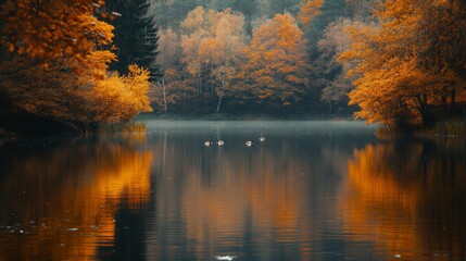 Fototapeta premium Tranquil Autumnal Lake with Ducks and Reflected Trees
