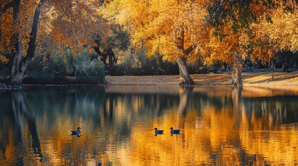 Fototapeta premium Golden Autumn Reflections on a Calm Lake with Ducks