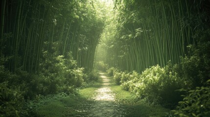 Obraz premium A tranquil bamboo grove with a serene path cutting through the thick, towering green stalks.