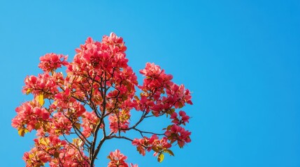 A vibrant tree in full bloom against a clear blue sky, creating a bright and fresh spring scene with rich copy space for text or design.