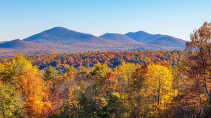 Autumn Foliage in a Mountainous Landscape
