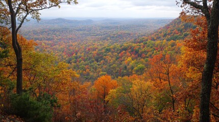 Fototapeta premium Autumnal Forest Landscape with Distant Hills