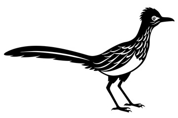 
Road runner bird icon, roadrunner silhouette, vector illustration