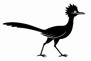 
Road runner bird icon, roadrunner silhouette, vector illustration