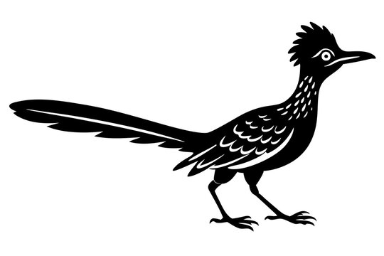 recommend clip art: roadrunner bird vector silhouette, roadrunner bird icon vector, roadrunner silhouette