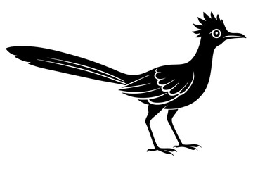 roadrunner bird vector silhouette, roadrunner bird icon vector, roadrunner silhouette