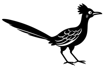 roadrunner bird vector silhouette, roadrunner bird icon vector, roadrunner silhouette
