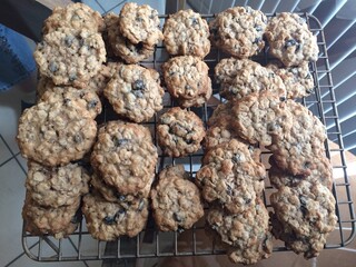 Homemade Oatmeal Cookies Cooling in the Kitchen 