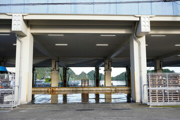 那智勝浦　魚市場