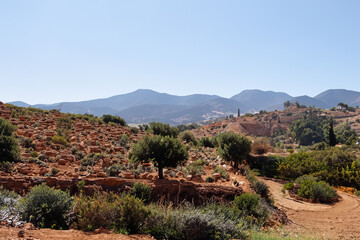 Naklejka premium mediteranian landscape background