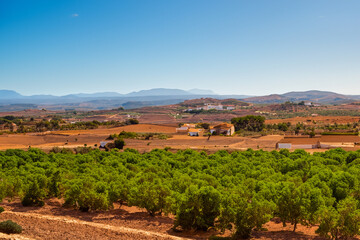 mediteranian landscape background