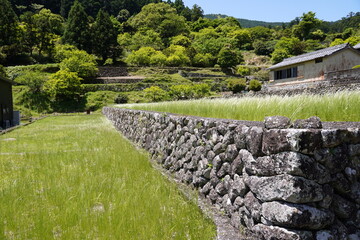 熊野古道　大門坂入口付近