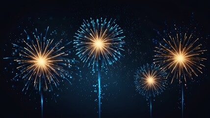 Fototapeta premium fireworks on the night sky