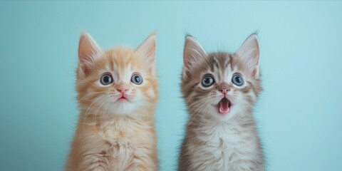 Adorable Kittens Against Soft Blue Background: Cute and Surprised Expressions