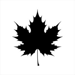 Top view black maple leaf silhouette vector illustration design on white background.