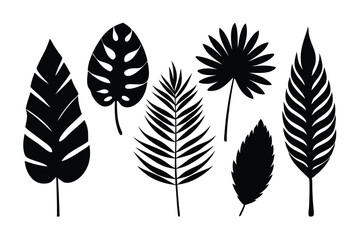 Set of tropical leaves vector. palm leaves silhouettes on white background