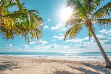 Tropical Paradise: Sunlit Palm Trees on a Pristine Beach