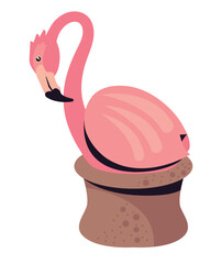 tropical flemish bird animal