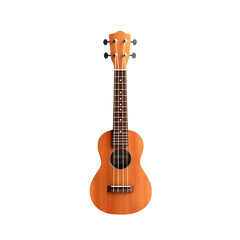 Obraz premium Ukulele Isolated