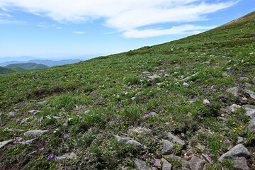 Mount. Tairappyou and Sennokura, Gunma, Japan