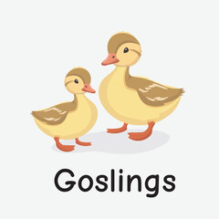 Goslings Cartoon Vector Illustration for Kids Learning, Posters, Cards, and Sublimation Prints on White Background