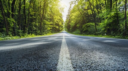 Fototapeta premium Empty asphalt road and green woods in the countryside nature park